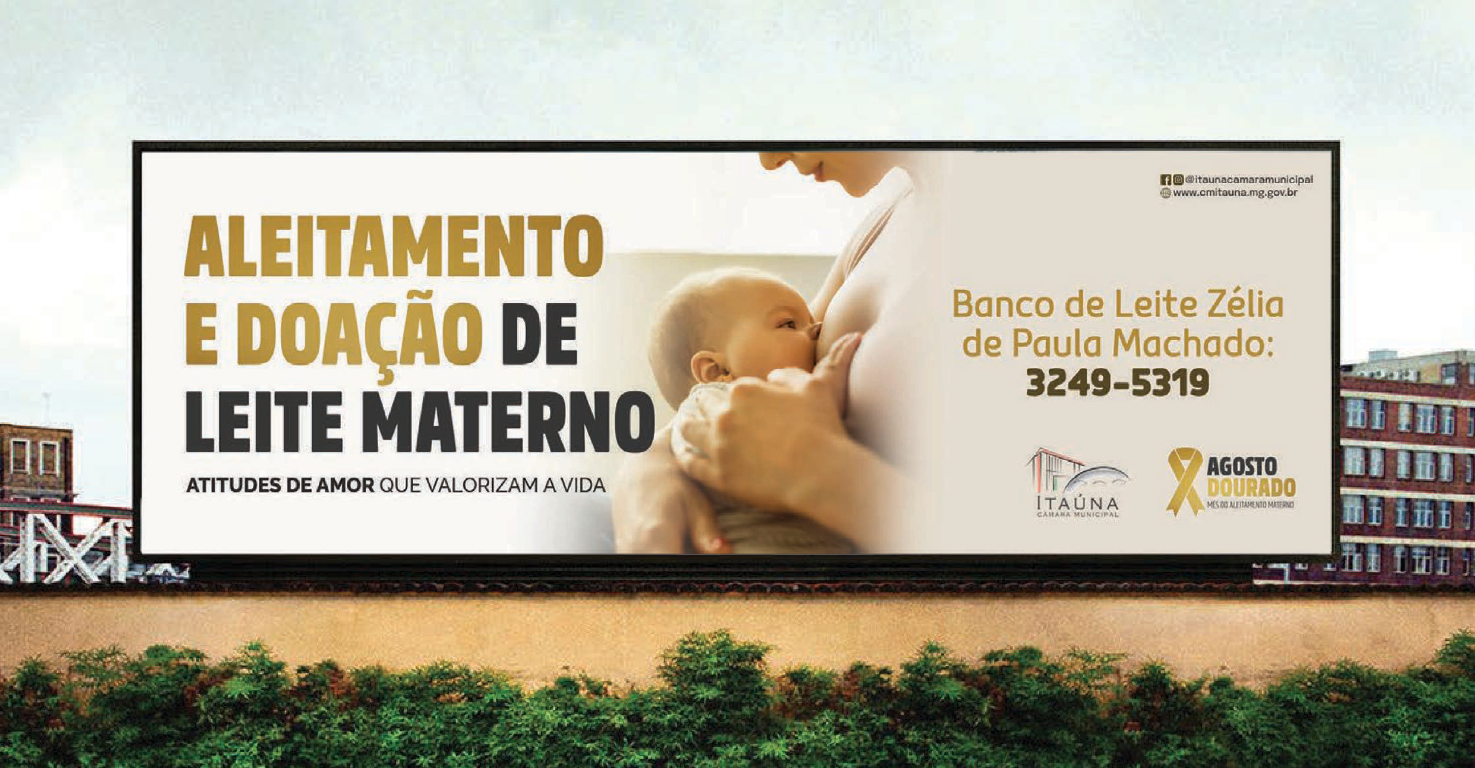 Imagem 5